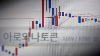 30분 만에 1000배 오른 코인…믿기지 않는 '묻지마 투기'