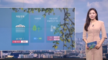 [날씨] 아침 흐리지만 차차 맑아져…'대기 깨끗'