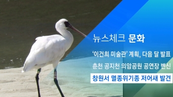 [뉴스체크｜문화] 창원서 멸종위기종 저어새 발견