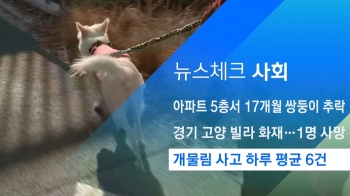 [뉴스체크｜사회] 개물림 사고 하루 평균 6건