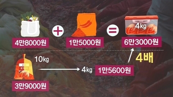 [발품뉴스] 김치 사면 싸고, 만들면 비싸다?…직접 담가보니