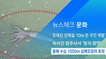 [뉴스체크｜문화] 동해 수심 1000m 심해오징어 포착