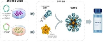 SK바이오 코로나백신 임상 3상 돌입…“내년 상반기 출시 목표“