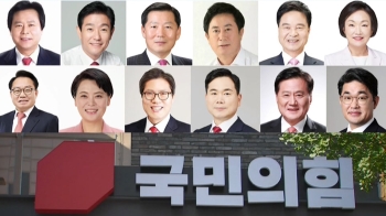 국민의힘 '부동산 불법 의혹' 윤희숙 포함 12명 공개