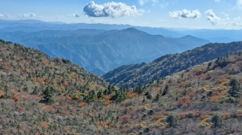 [날씨] 설악산에 '첫 단풍'…오전까지 곳곳에 짙은 안개