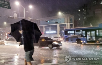 지난밤 서울 '깜짝' 폭우…가로수 쓰러지고 담 무너져