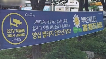 공원서 예쁘다고 '쑥'…포항시 '꽃나무 도둑' 수배령