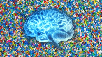 뇌까지 침투한 미세 플라스틱 '독성물질' 된다