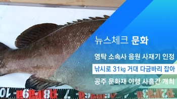 [뉴스체크｜문화] 낚시로 31kg 거대 다금바리 잡아