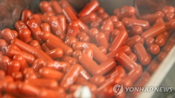 먹는 코로나19 치료제, 내년 2월 국내 도입…40만4천명분 선구매