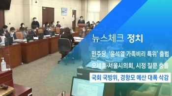 [뉴스체크｜정치] 국회 국방위, 경항모 예산 대폭 삭감