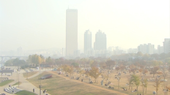 비행기도 못 떴다…미세먼지에 갇혀 온종일 '잿빛 하늘'