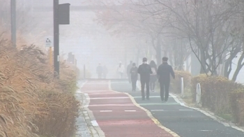 전국 대부분 미세먼지 '나쁨'…낮기온 10도 안팎 '포근'