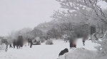 한라산 눈꽃 보며 눈썰매…'겨울왕국' 된 제주 풍경