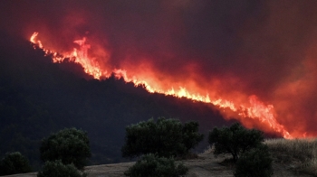 최악 폭염에 끊이지 않는 산불…열받은 지구의 '경고'