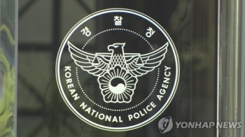 '치안감 인사 논란' 행안부 파견 치안정책관 징계위 회부