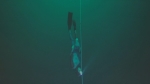 [오늘, 이 장면] 3분 34초간 숨 참고 120m까지…잠수 '세계신기록'