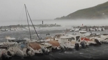 [영상] 나무에 깔리는 등 5명 숨져…프랑스 휴양지 덮친 폭풍우