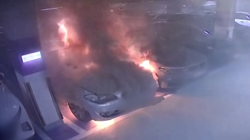 주차된 BMW서 '흰 연기'…순식간에 시뻘건 불길 '활활'