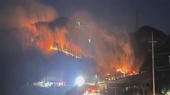 “송전탑서 쾅“…강풍 탄 '삼척 산불' 4시간 만에 진화