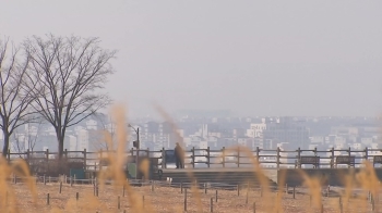 [날씨] 당분간 낮기온 포근…수도권 초미세먼지 '나쁨'