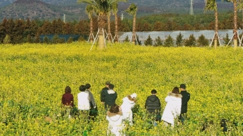 '1월에 봄 날씨' 겨울잠도 깼다…세계 곳곳 '기상이변'