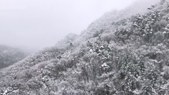 강원 산지에 대설특보…모레까지 최대 70cm '눈 폭탄'