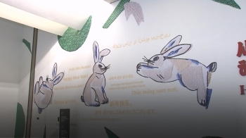 [영상구성] 설레는 '계묘년'…토끼의 모든 것 담은 전시
