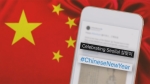 "'중국 설'로 불러라" 댓글 테러…전세계 사이트 찾아다니며 '억지'