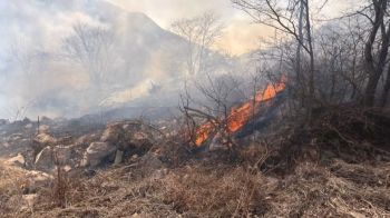 쓰레기 태우다 다 태울라…산불 하루 10건꼴, 대부분 인재