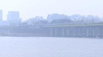 '봄 나들이' 막은 불청객 미세먼지…내륙 곳곳 건조특보도