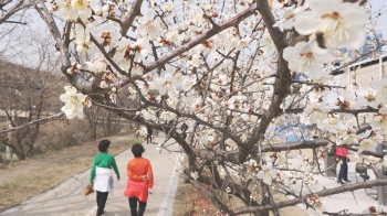 '한낮 최고 25도' 초여름 날씨…내주엔 영하로 뚝 떨어져