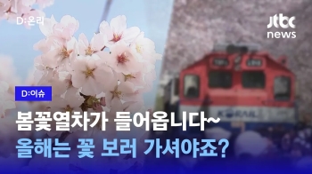 [D:이슈] “벚꽃엔 역시 기차가“…'4월 봄꽃 관광열차' 3년만에 재개