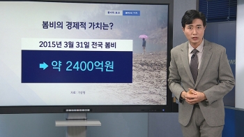 [기상센터] 봄비의 경제적 가치…산불·미세먼지 방지 효과는?