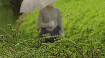 [날씨] 전국 대부분 비…낮 기온 9~15도 뚝↓