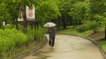 [날씨] 오후 곳곳 비 소식…미세먼지 '좋음'