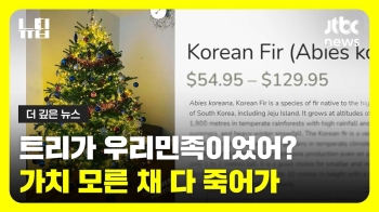 [뉴딥] “크리스마스 트리도 우리 민족?“…가치 모르고 죽는 구상나무