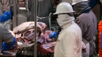 미국서 광우병 발생…정부, 미국산 쇠고기 검역 강화