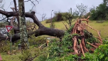 [영상] 뿌리째 뽑힌 나무들…슈퍼 태풍 '마와르' 괌 강타 