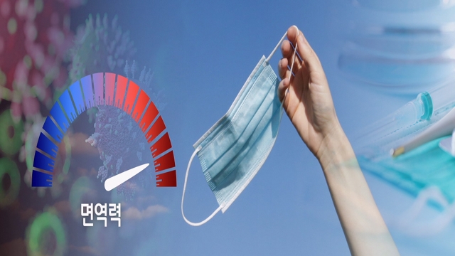 동영상 영역