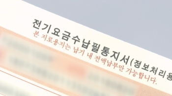 3분기 전기요금 인상 여부 검토…동결 가능성 무게