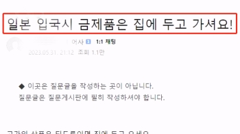 금목걸이 하고 일본 갔다가…“가방 뒤지고 범죄자 취급“