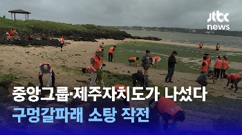 [영상] 제주 해안 악취 주범 '구멍갈파래'…중앙그룹-제주자치도가 나섰다