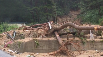 [인터뷰] “산사태, 취약지역보다 개발된 지역서 발생할 가능성 높아“