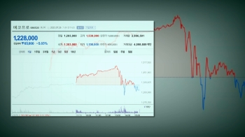 '롤러코스터' 에코프로 주가…천당과 지옥 오가는 투자자들