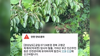 경북 고령 농원서 탈출한 암사자 사살…“불법 사육 추정“