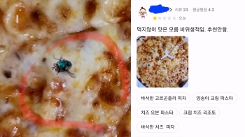 피자 위 '벌레 사진' 합성해놓고 환불 요구한 진상고객