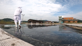 후쿠시마 오염수에 한때 동났지만…염전들 “소비마저 줄까 걱정“ [보니보니]