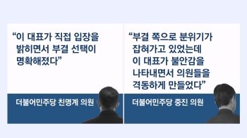 '이재명 호소' 오히려 비명계 자극? 표결에 미칠 영향은