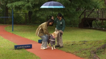 시각장애인 25만명인데 안내견 학교는 2개…훈련해보니 [보니보니]